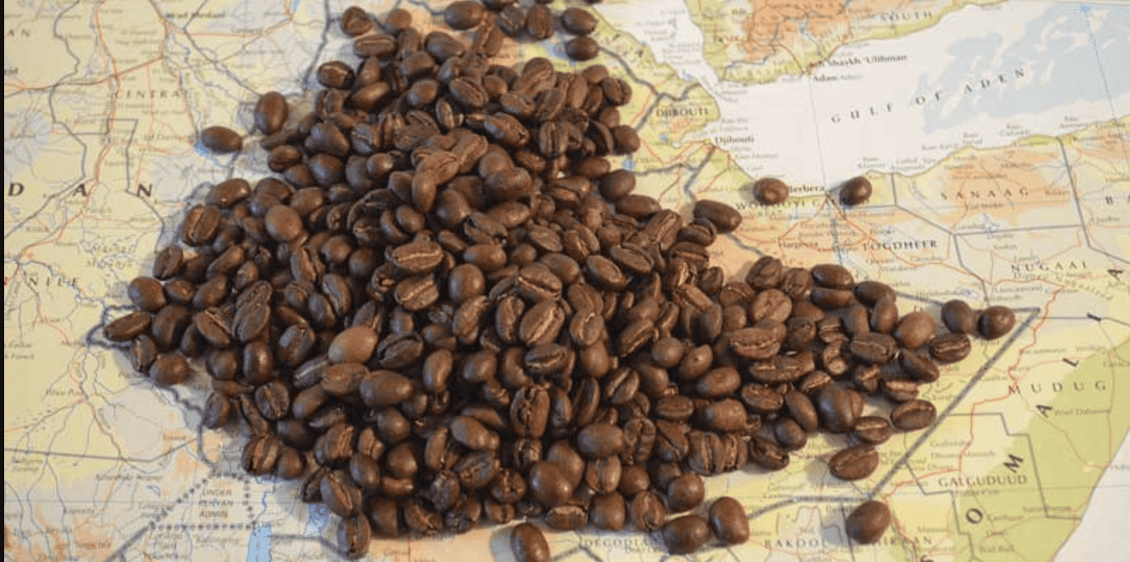 penyebaran kopi di indonesia
